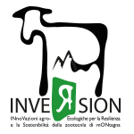 Progetto INVERSION